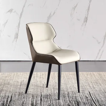 Endüstriyel Oturma Odası Lüks Sandalyeler Masası Metal Tek Dekor Relax İskandinav Modern Basit Lüks Sandalye Geri Cadeira Ev Mobilyaları