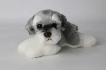 simülasyon Schnauzer peluş oyuncak yaklaşık 25 cm eğilimli köpek yumuşak bebek çocuk oyuncak Noel hediyesi w2081
